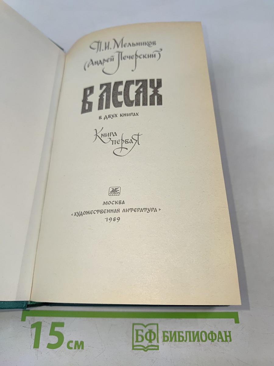 В лесах. Книга первая