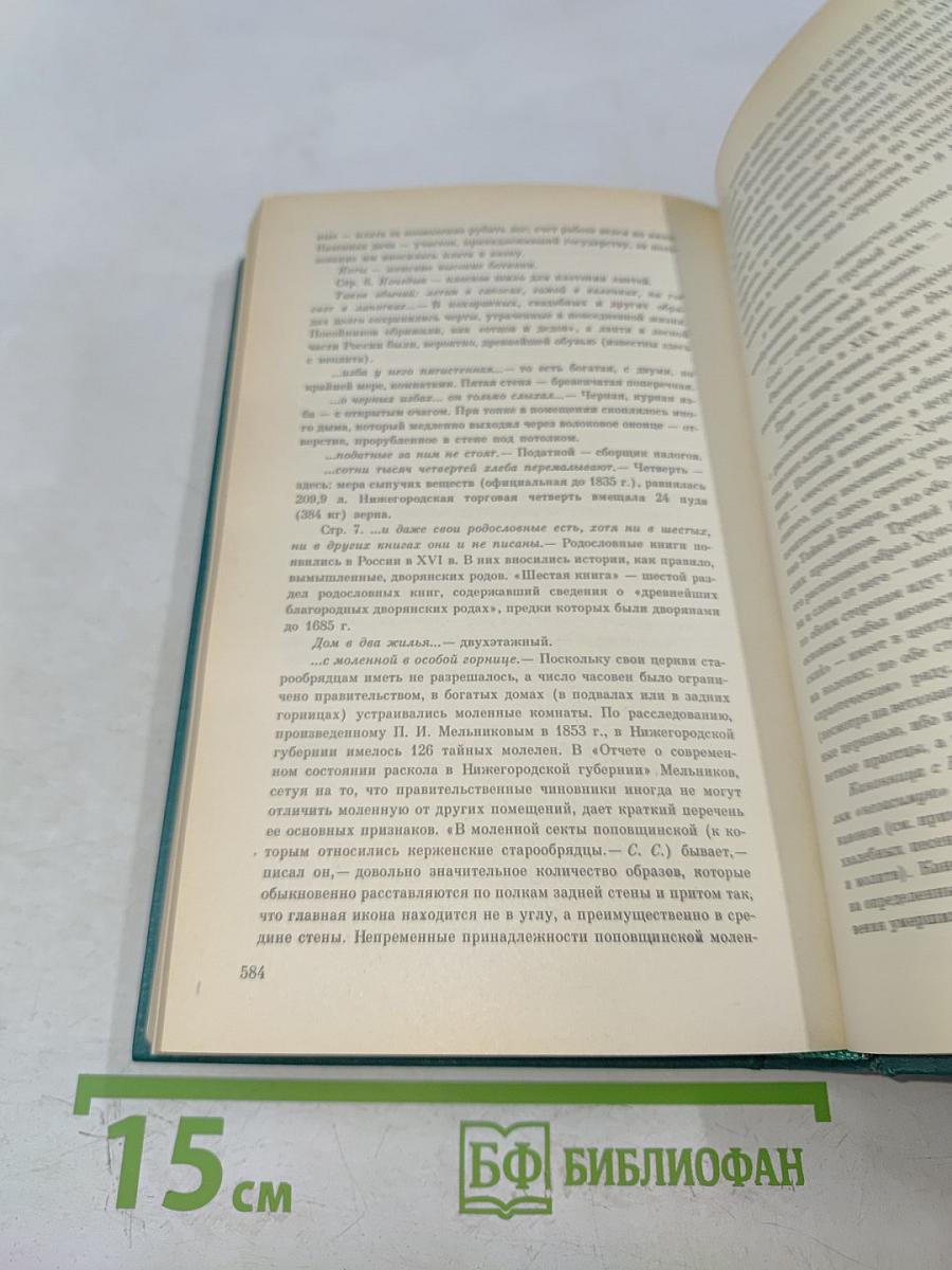 В лесах. Книга первая