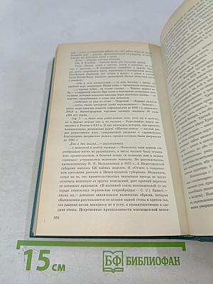 В лесах. Книга первая