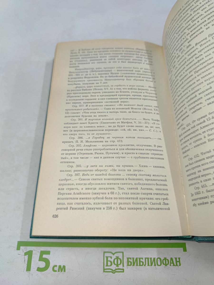 В лесах. Книга первая