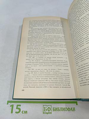 В лесах. Книга первая