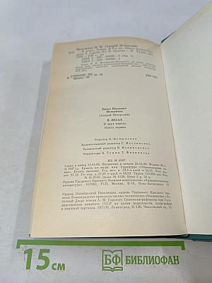 В лесах. Книга первая