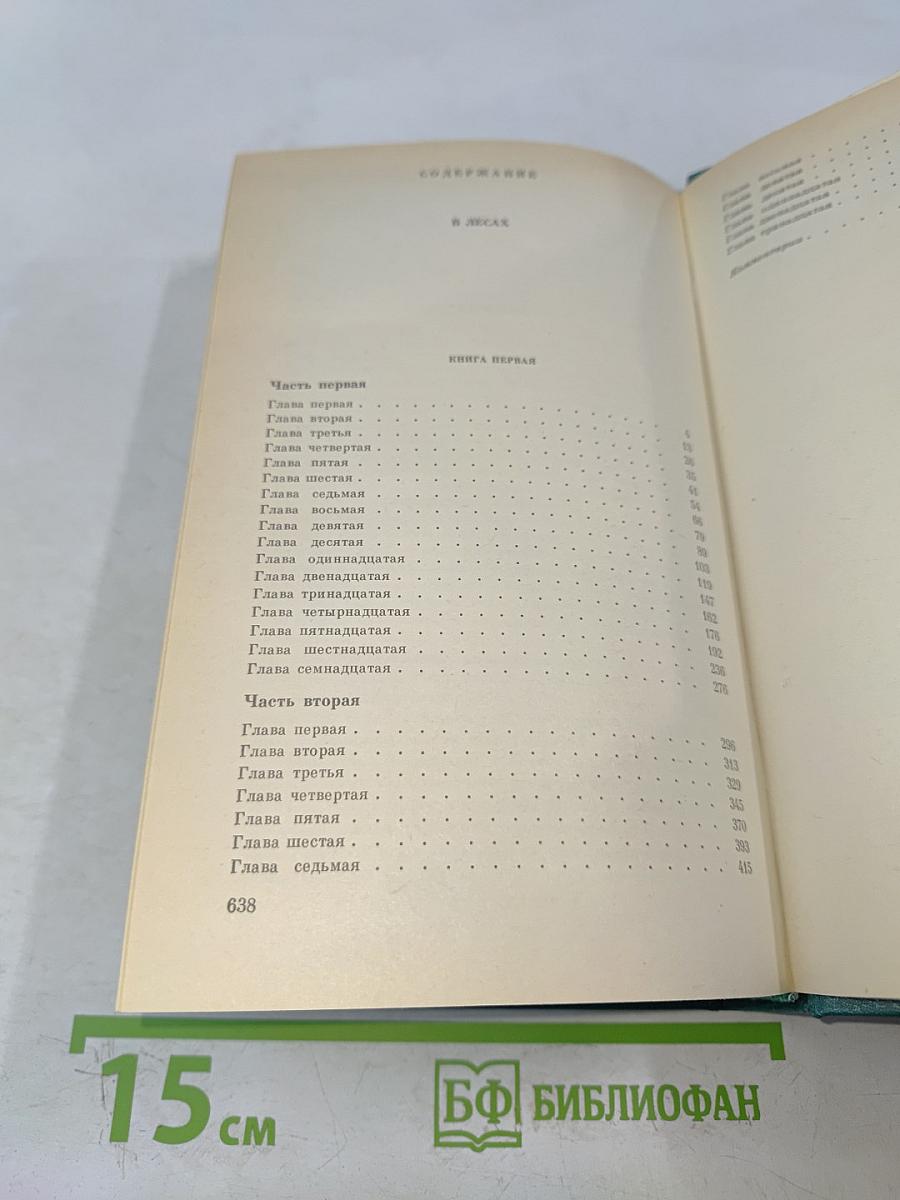 В лесах. Книга первая