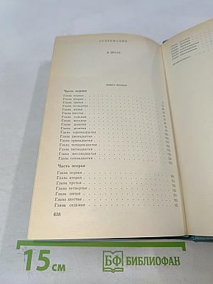 В лесах. Книга первая