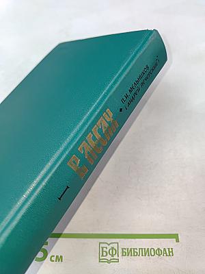 В лесах. Книга первая