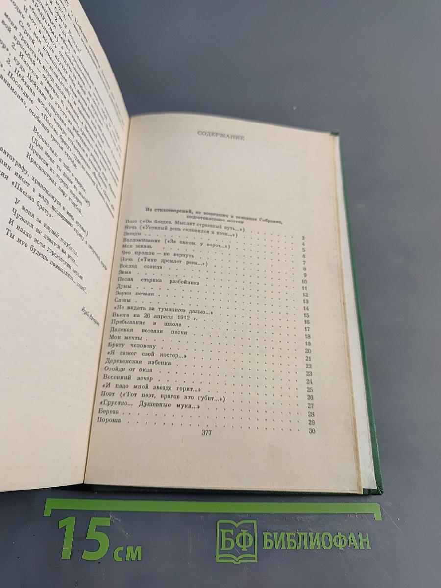 Сергей Есенин. Собрание сочинений в двух томах. Том 2. Стихотворения. Проза. Статьи. Письма