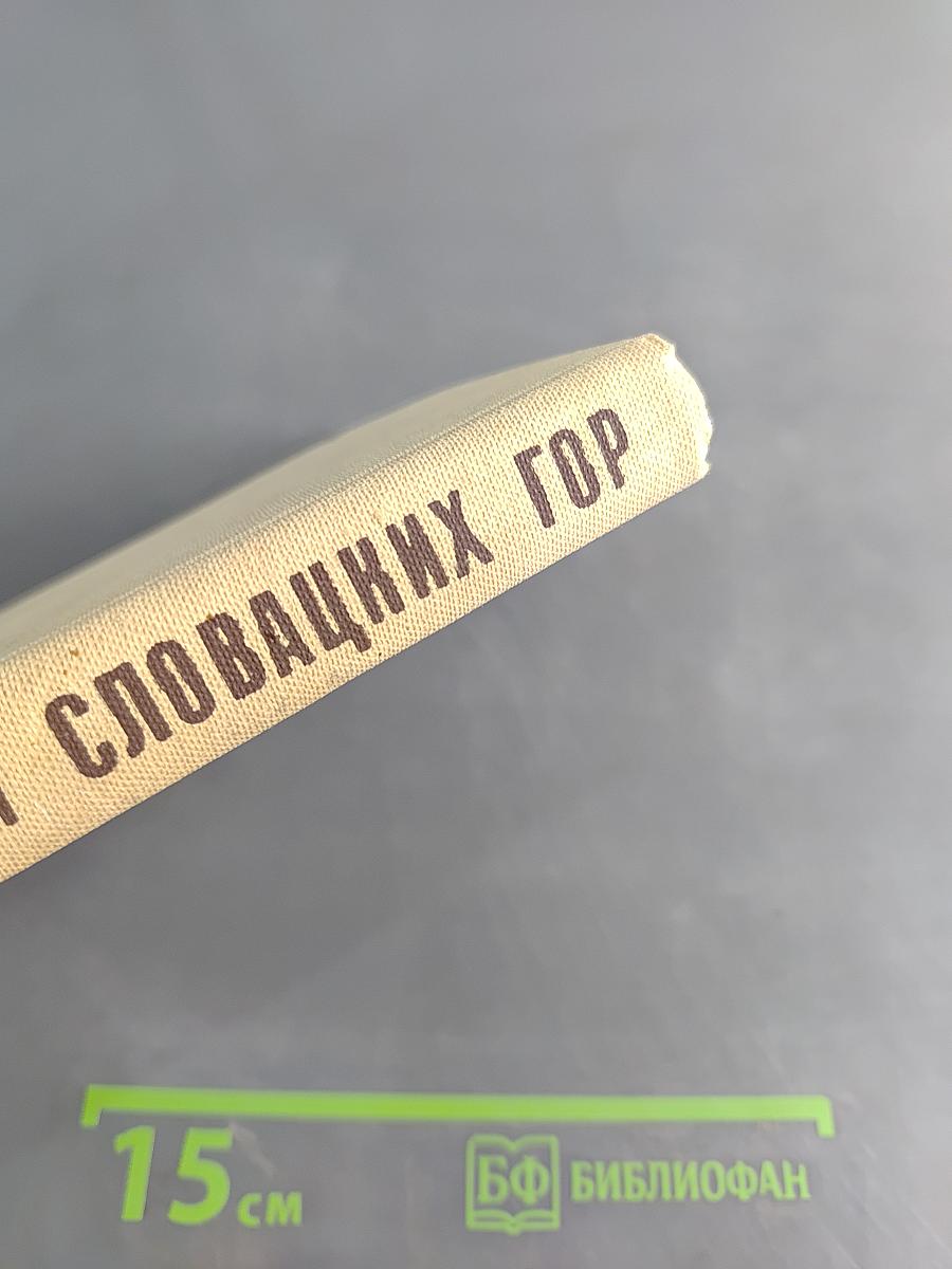 Партизаны Словацких гор