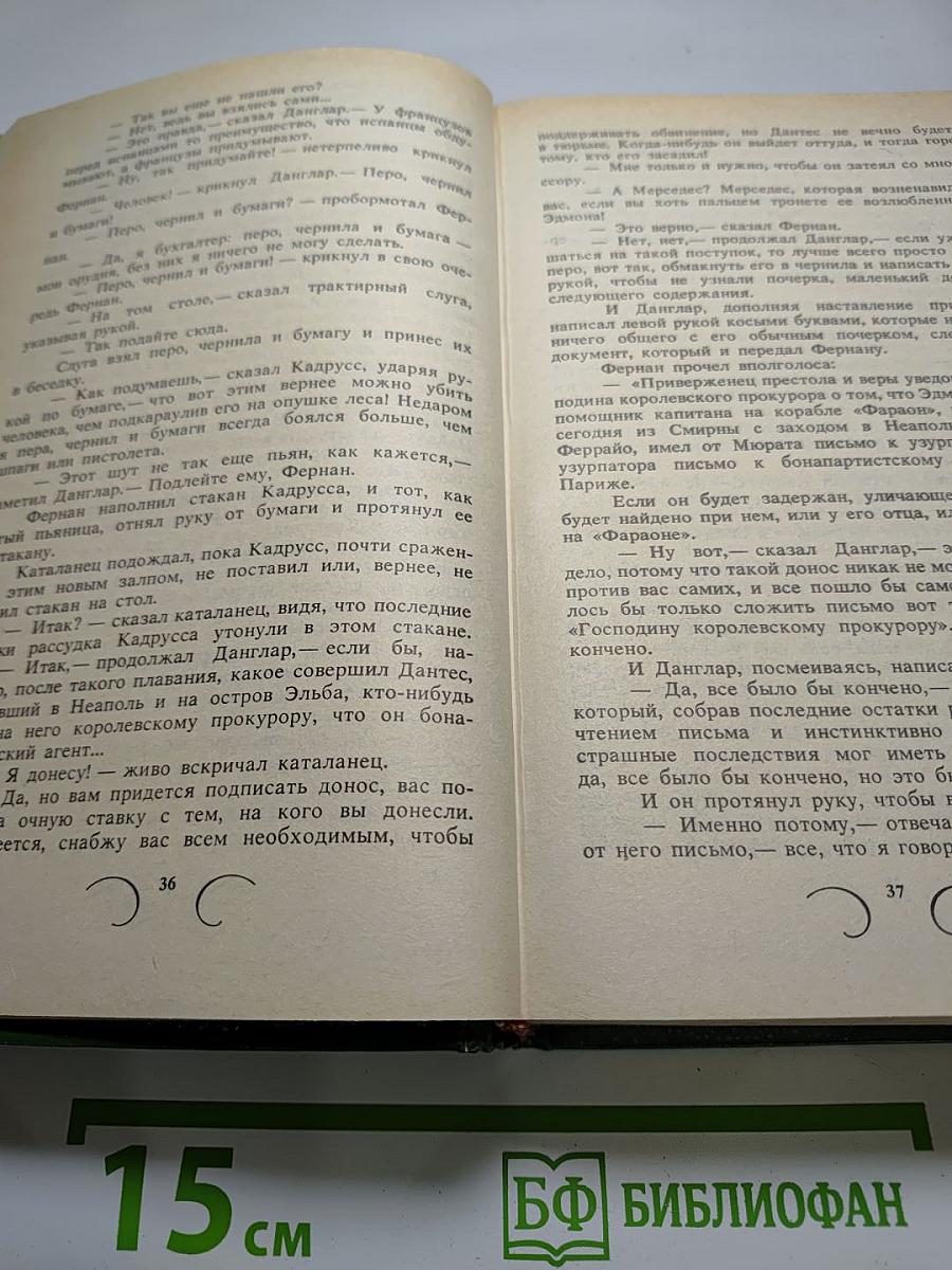 Граф Монте-Кристо, Том 1