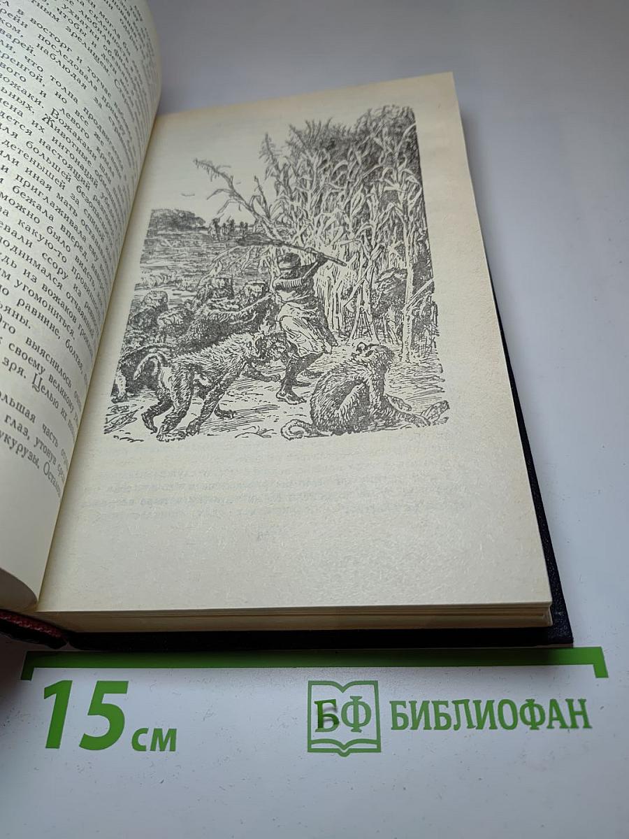 В дебрях Южной Африки. Юные охотники. Охотники за жирафами