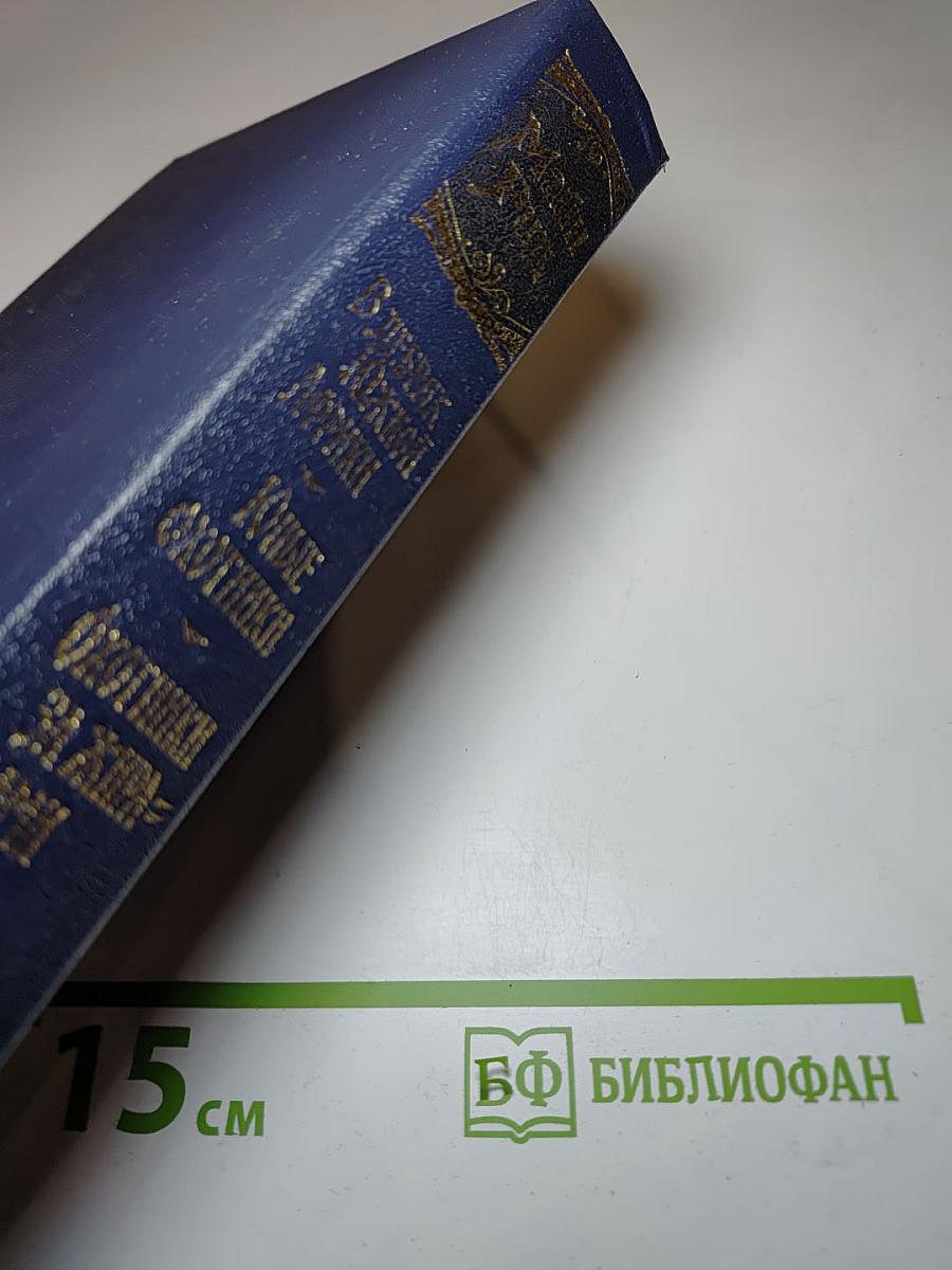 В дебрях Южной Африки. Юные охотники. Охотники за жирафами