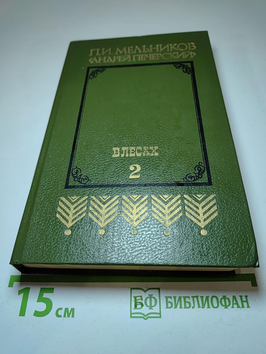 В лесах. Книга вторая
