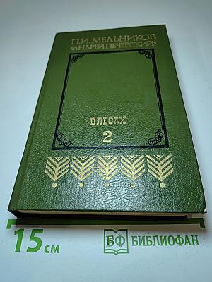 В лесах. Книга вторая