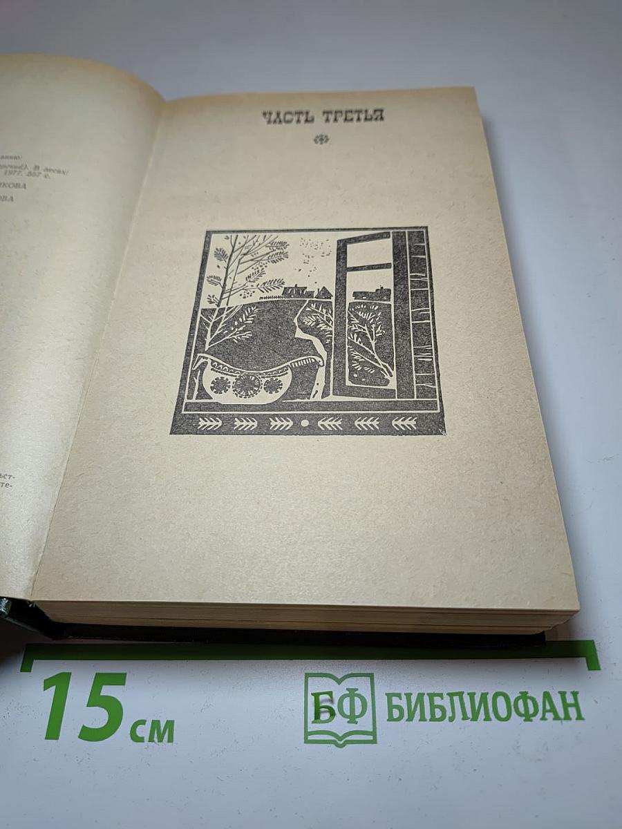 В лесах. Книга вторая