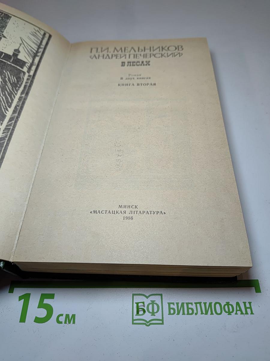 В лесах. Книга вторая