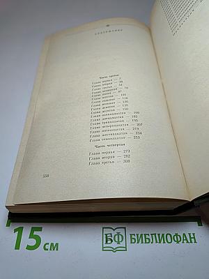 В лесах. Книга вторая