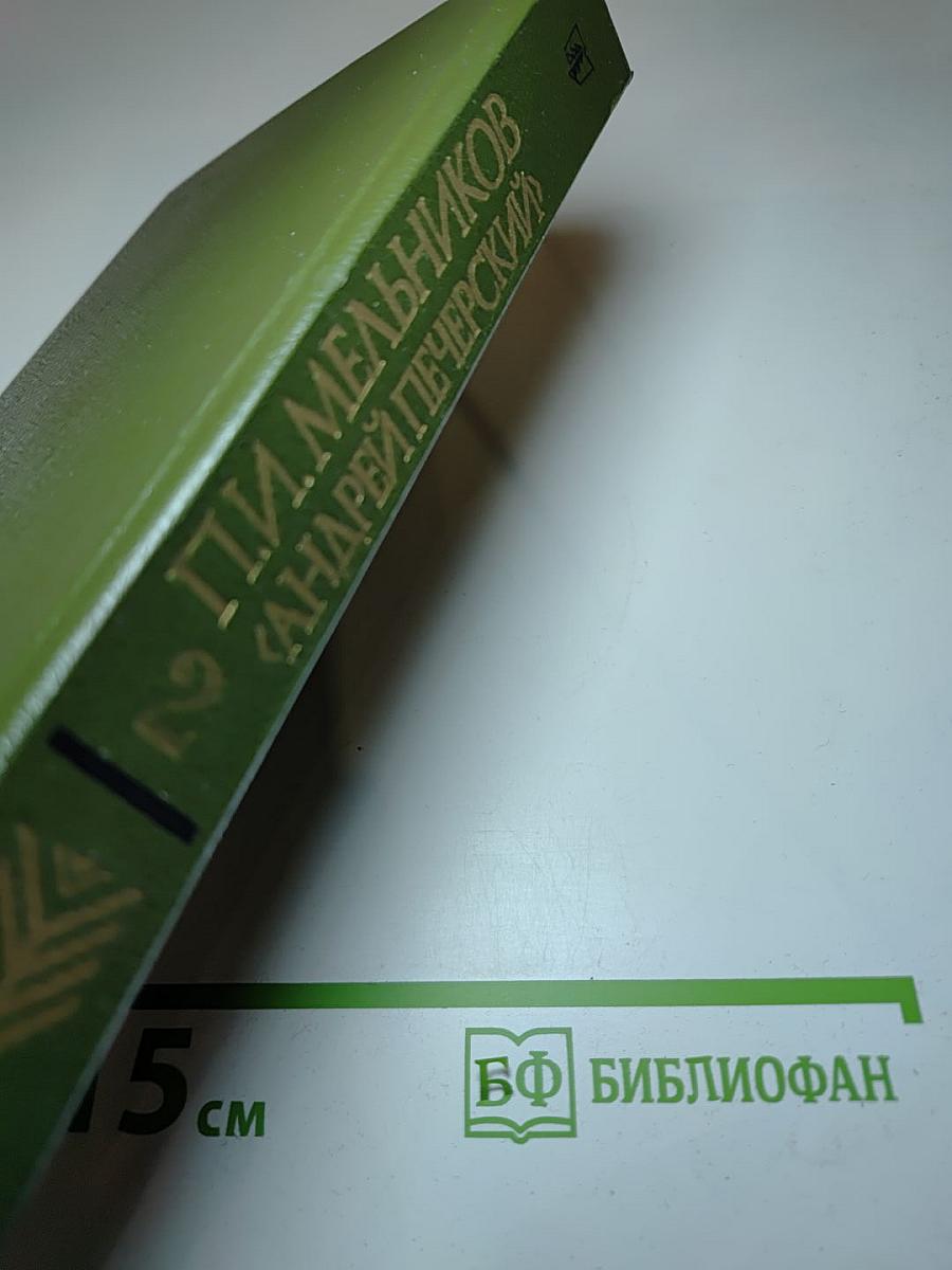 В лесах. Книга вторая