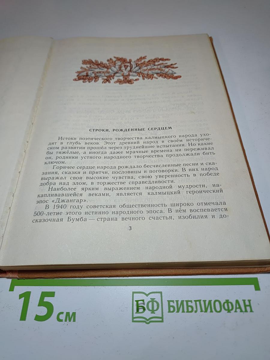 Тюльпаны в степи