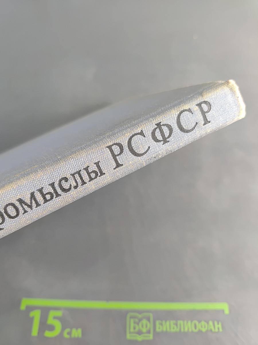 Художественные промыслы РСФСР. Справочник