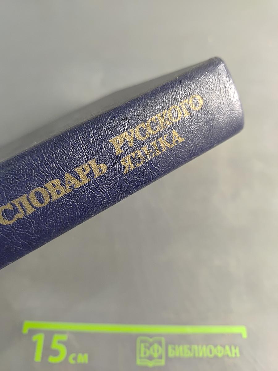 Школьный толковый словарь русского языка