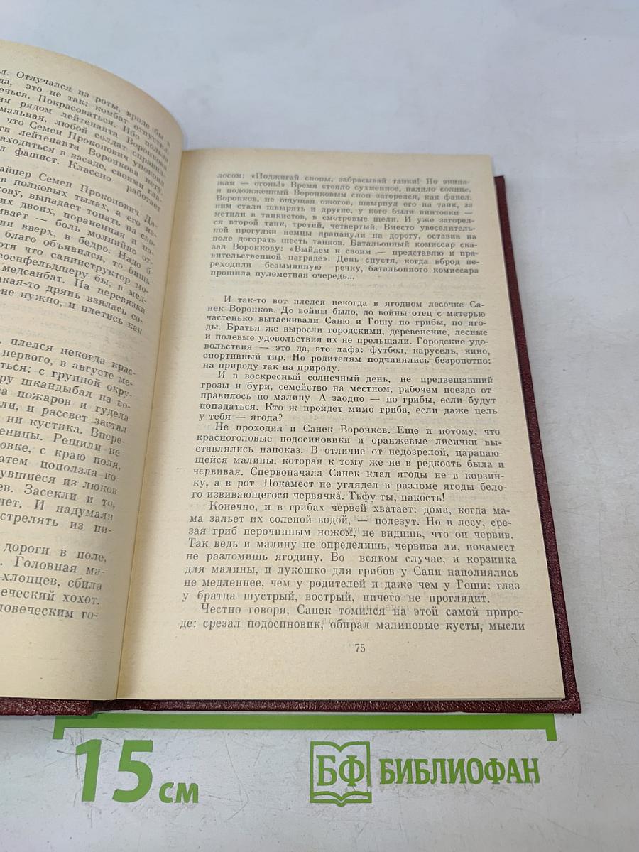 Проводы журавлей