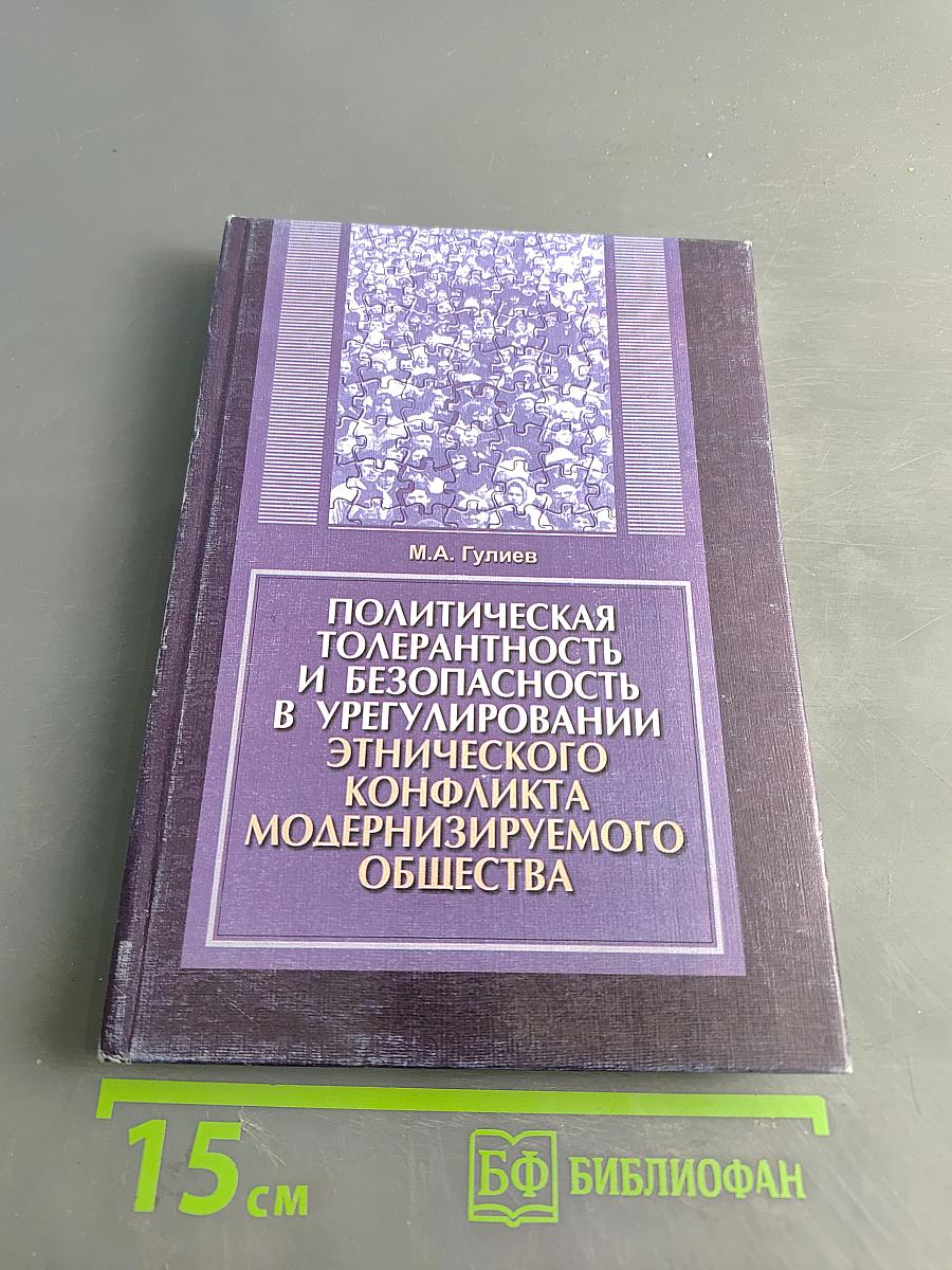 Политическая толерантность и безопасность в урегулировании этнического конфликта модернизируемого общества