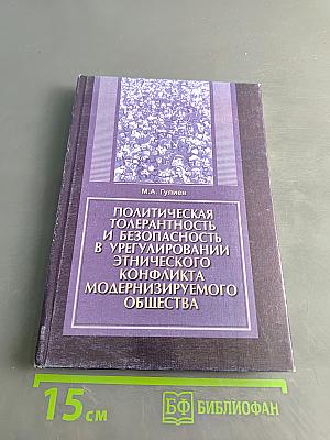 Политическая толерантность и безопасность в урегулировании этнического конфликта модернизируемого общества