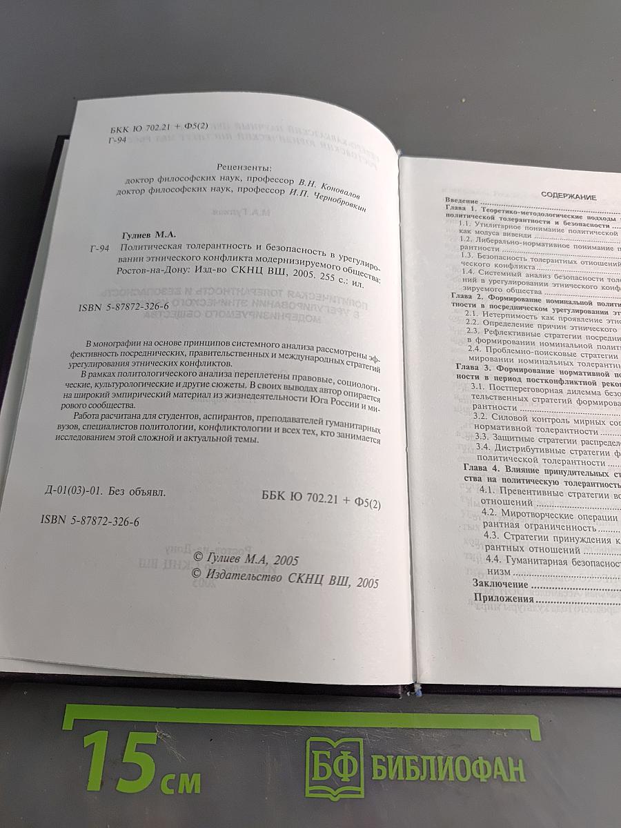 Политическая толерантность и безопасность в урегулировании этнического конфликта модернизируемого общества