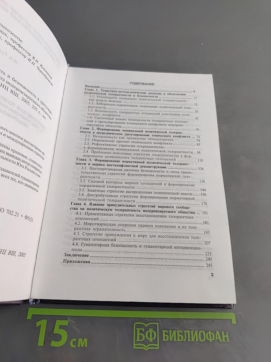 Политическая толерантность и безопасность в урегулировании этнического конфликта модернизируемого общества