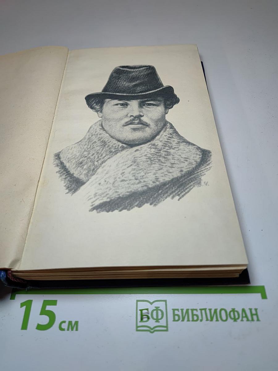 Николай Негорев, или Благополучный россиянин (Том 3)