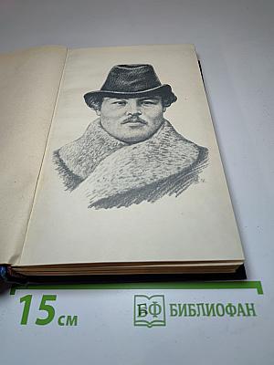 Николай Негорев, или Благополучный россиянин (Том 3)