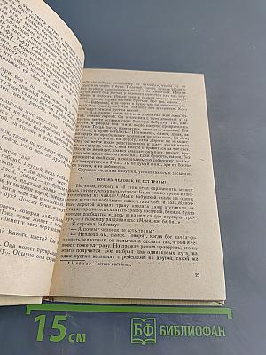 Повесть о светлом мальчике