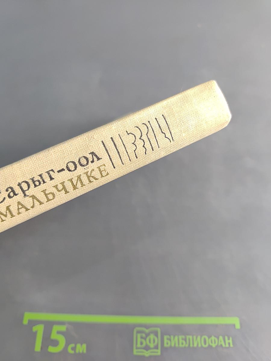 Повесть о светлом мальчике