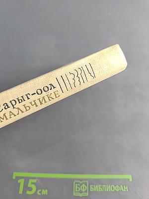 Повесть о светлом мальчике