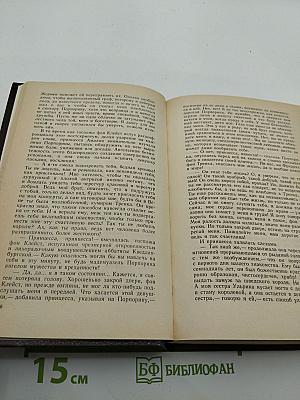 Графиня Рудольштадт