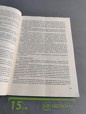 Как сопротивляться раку