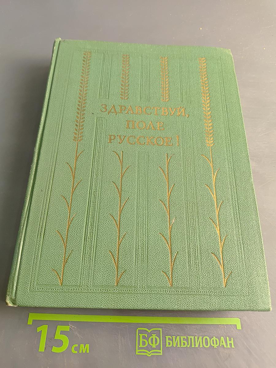 Здравствуй, поле русское!