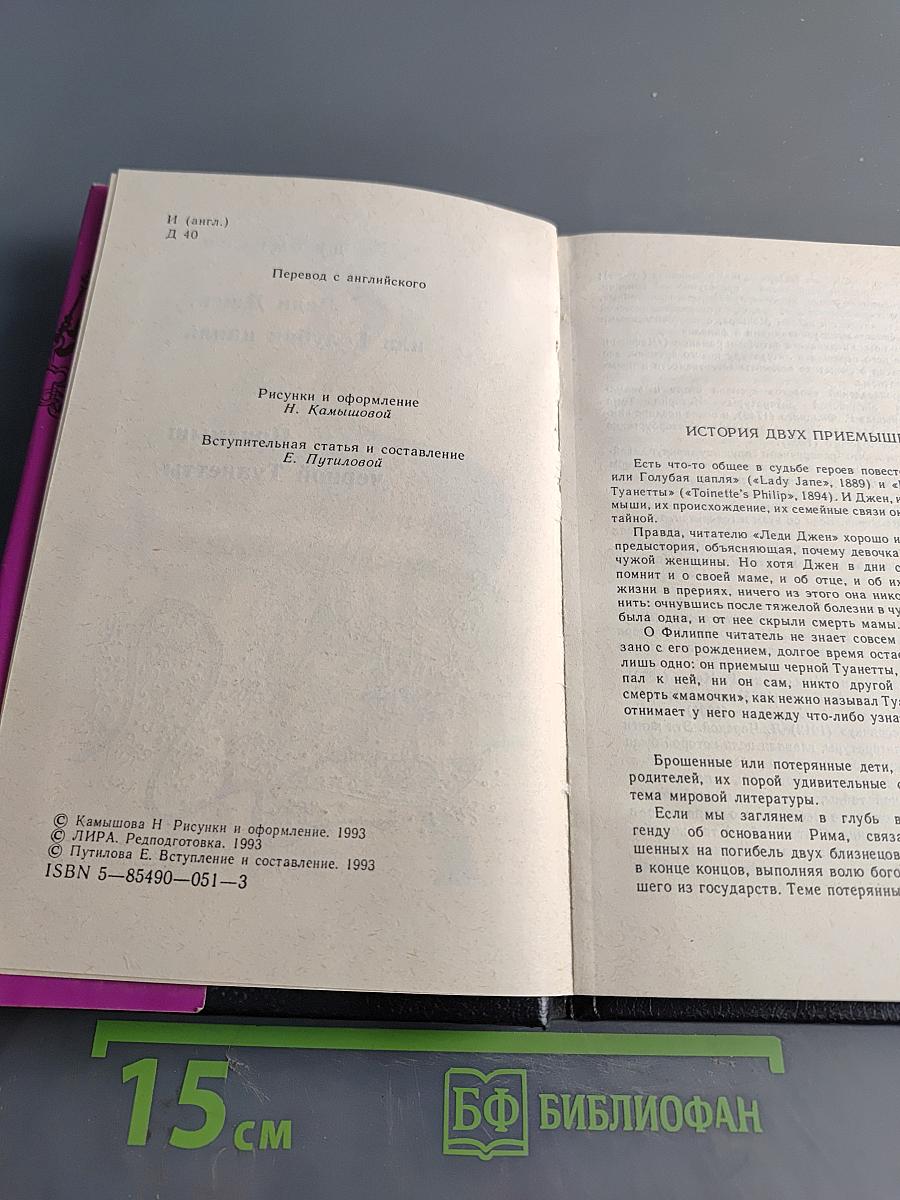 Леди Джен, или Голубая цапля. Приемы черной туалетты