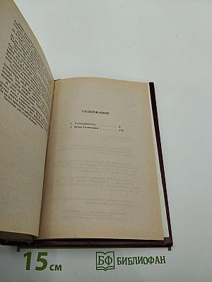 Телохранитель