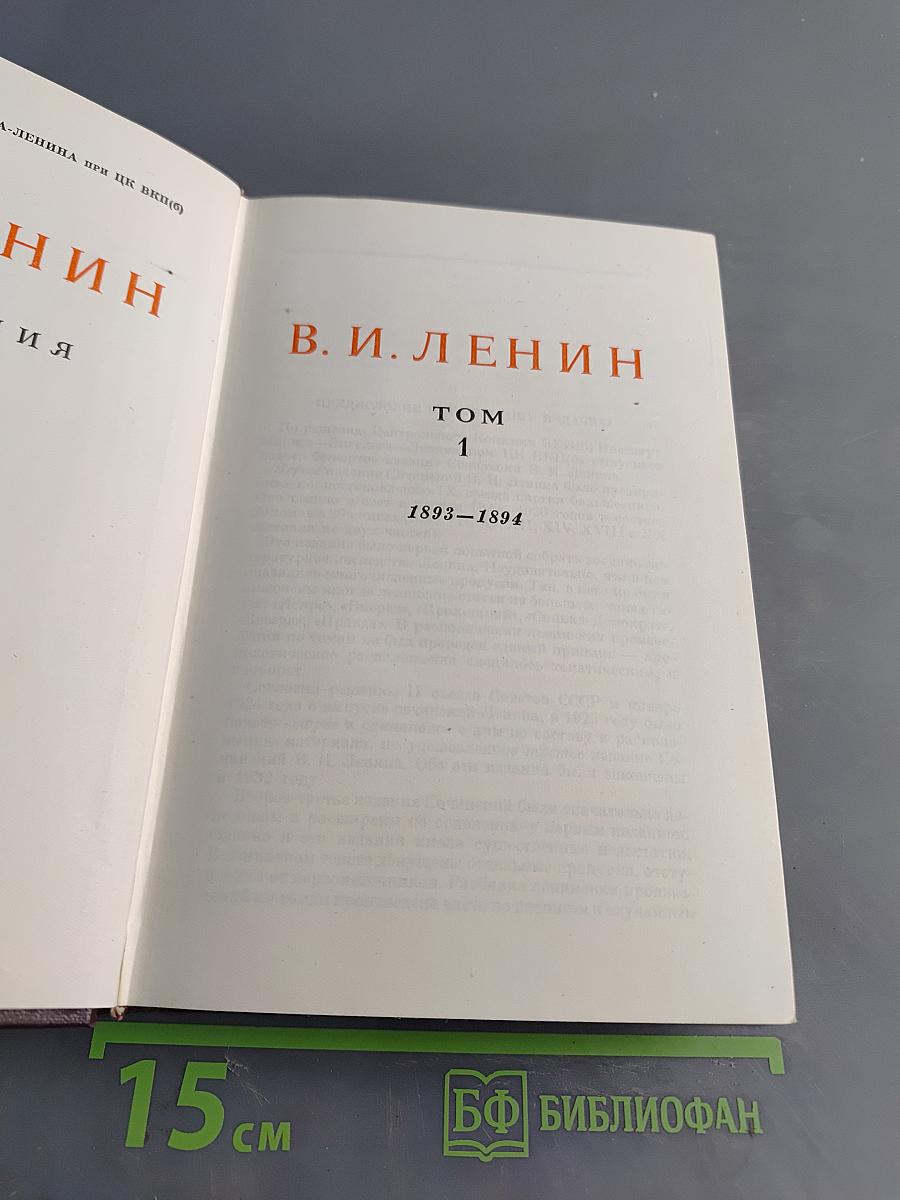 Сочинения. Том 1. 1893-1894