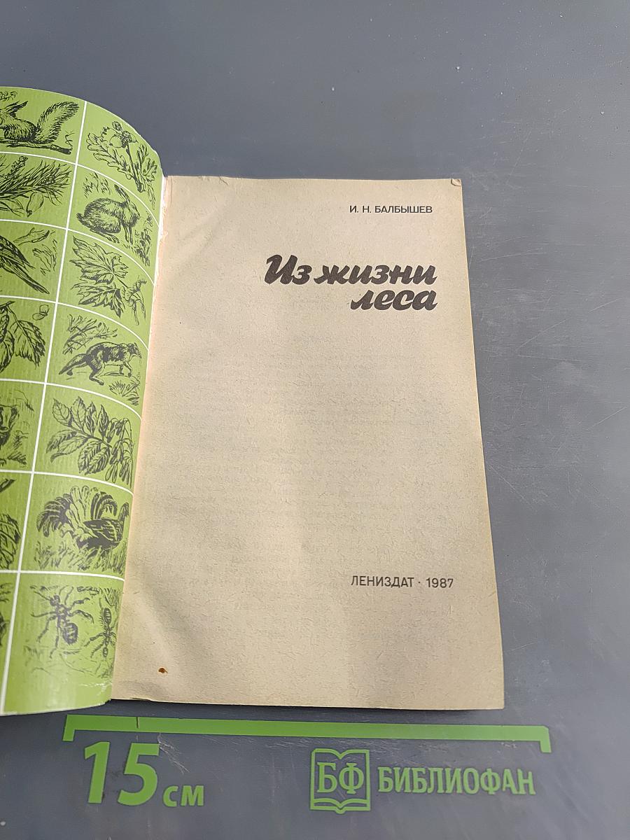 Из жизни леса