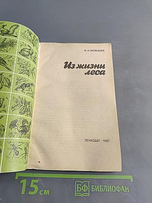 Из жизни леса