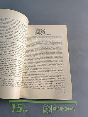 Из жизни леса