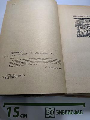 Поднятая целина (Роман в двух книгах)