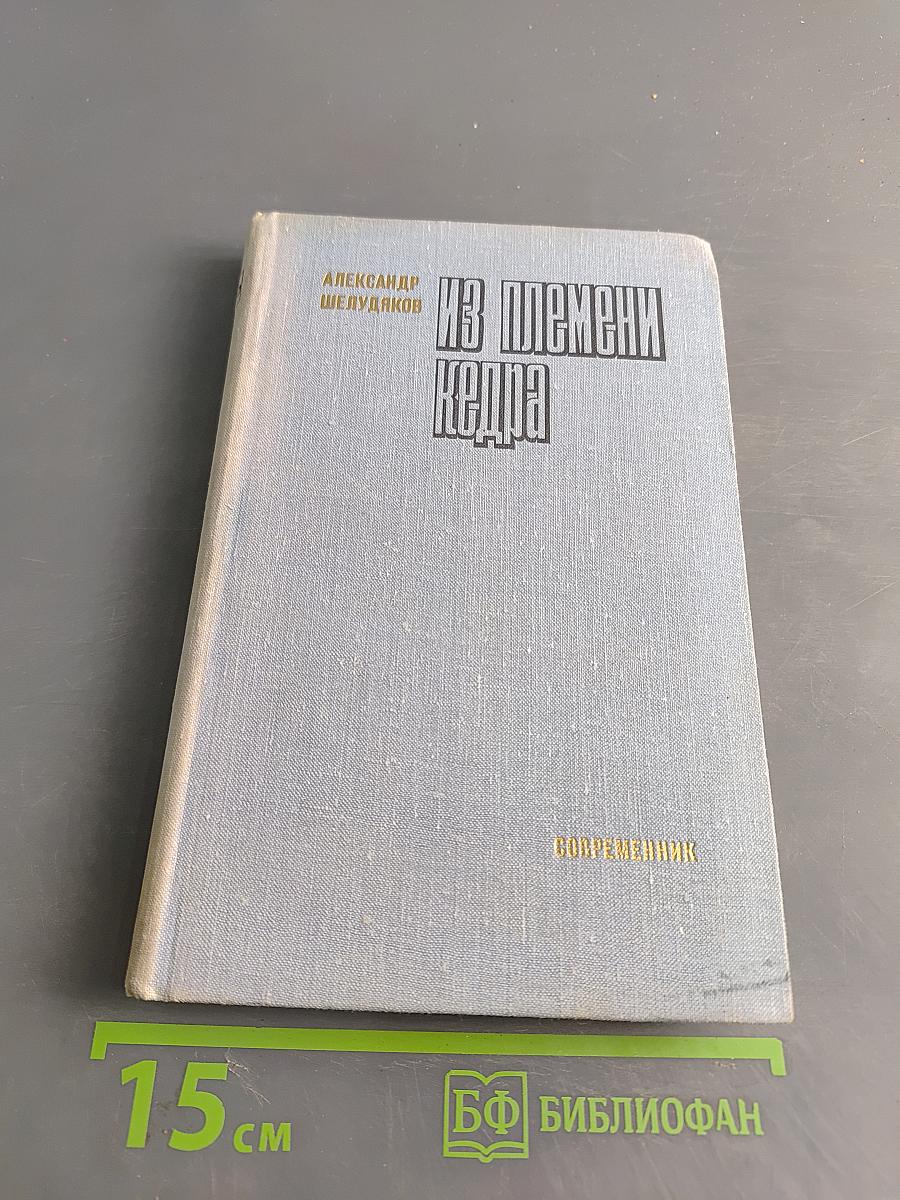 Из племени кедра