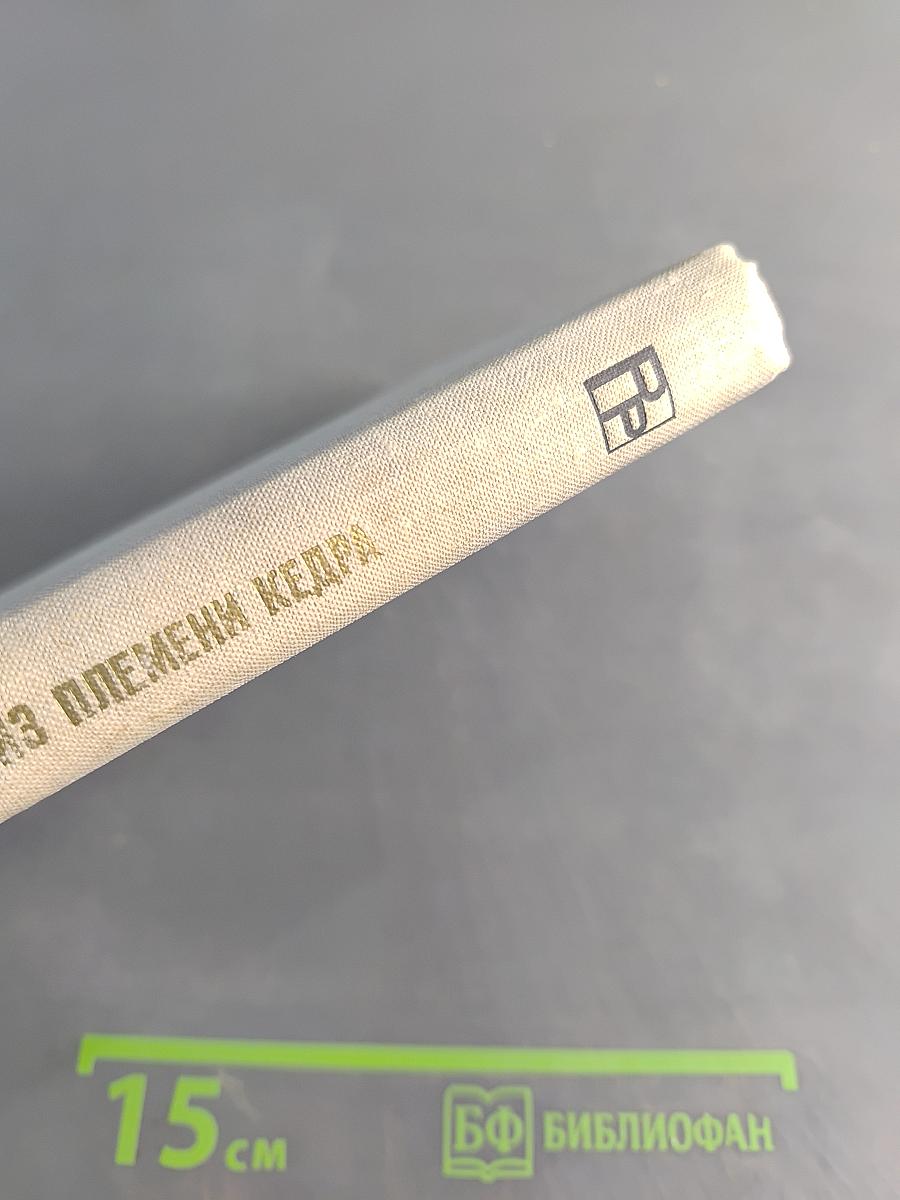Из племени кедра