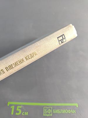 Из племени кедра