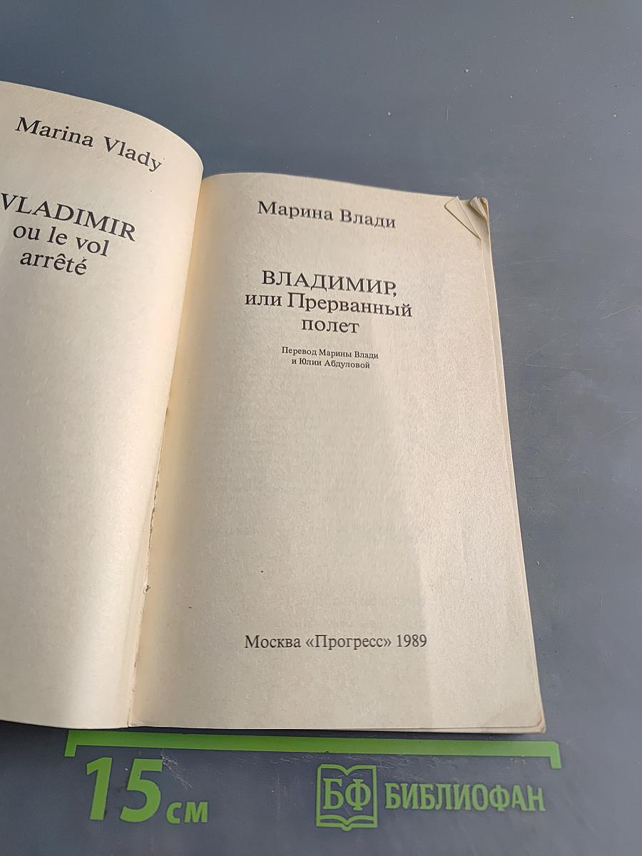 Владимир, или Прерванный полет