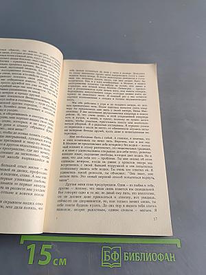 Владимир, или Прерванный полет