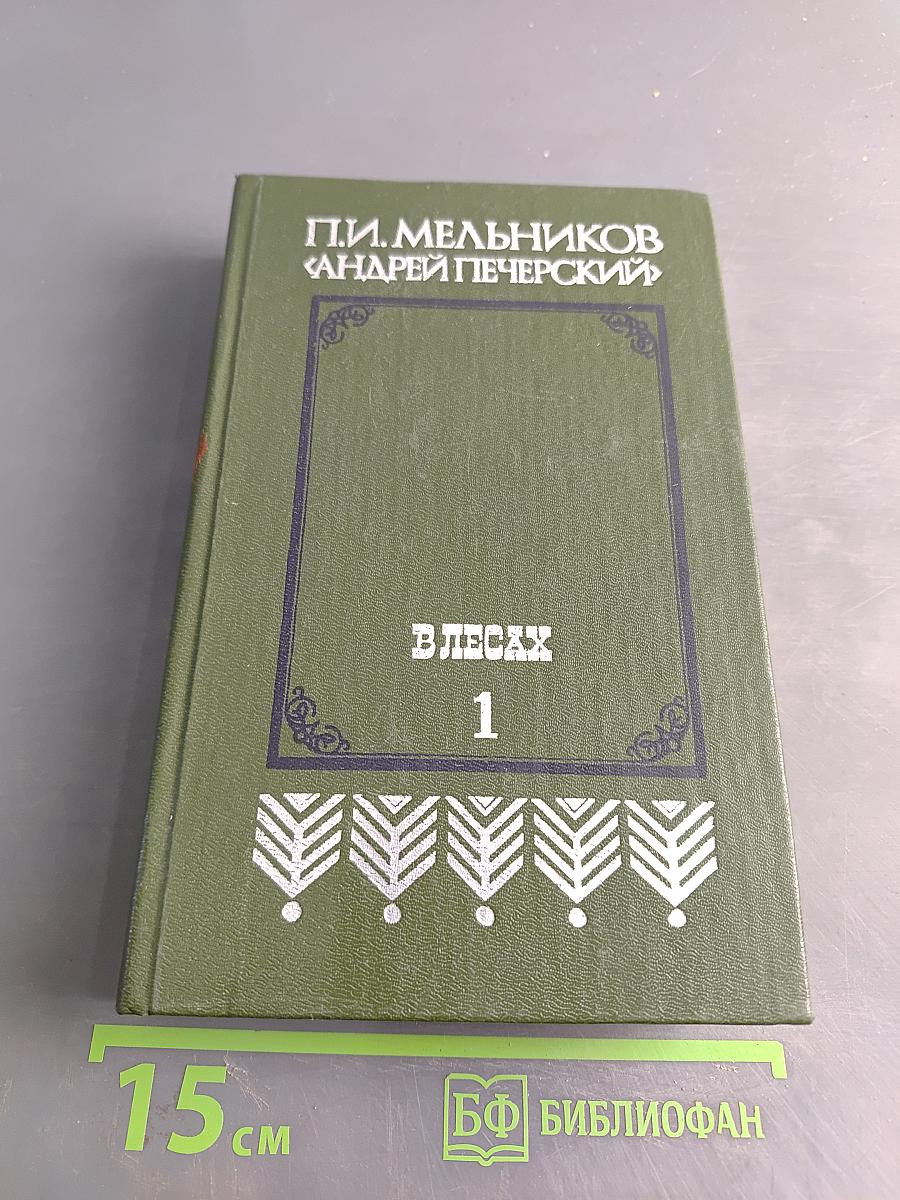 В лесах. Книга первая
