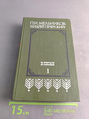 В лесах. Книга первая